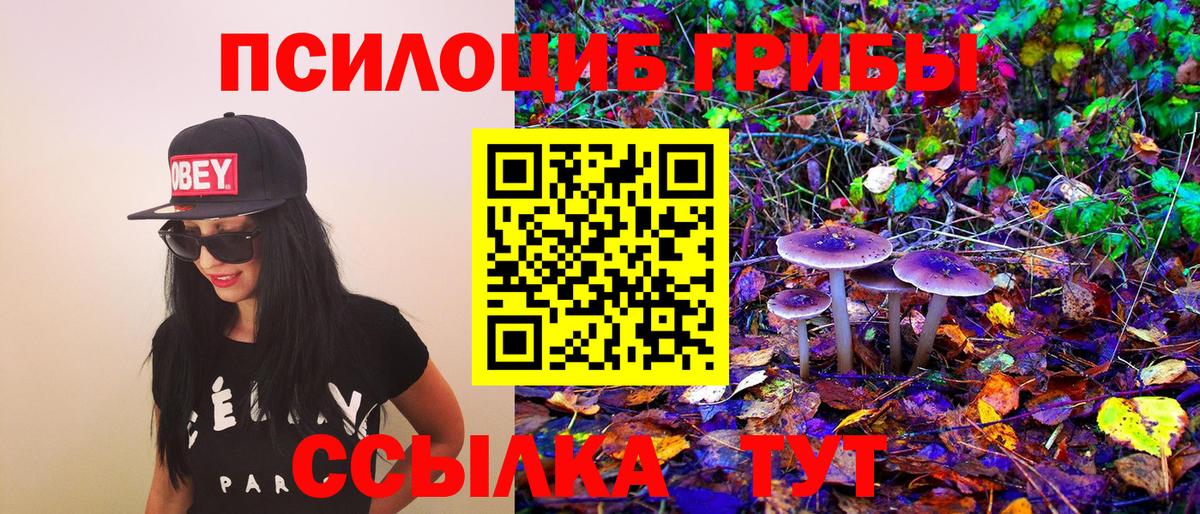 Псилоцибиновые грибы Psilocybine cubensis Гатчина