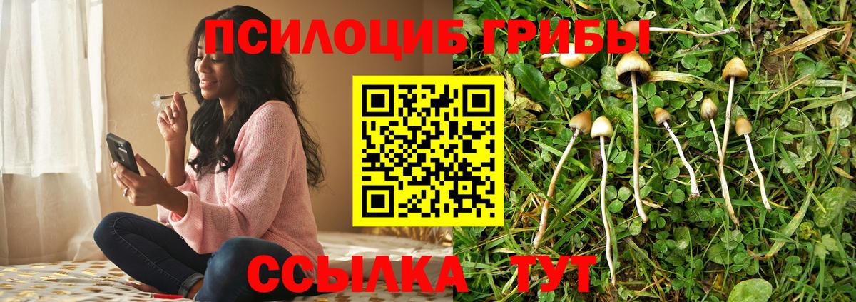 Гатчина  закладки  Вход с VPN  Галлюциногенные грибы ЛСД 